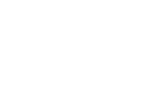 NETGAME