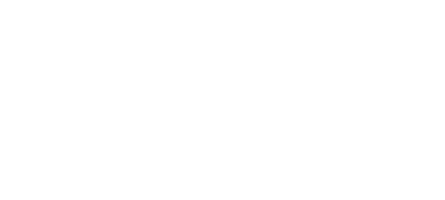 SPINTHON